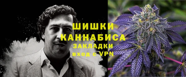 молекула духа Белокуриха