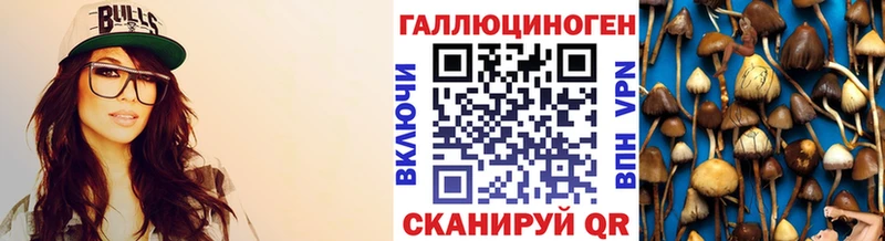 Галлюциногенные грибы Psilocybine cubensis Бодайбо